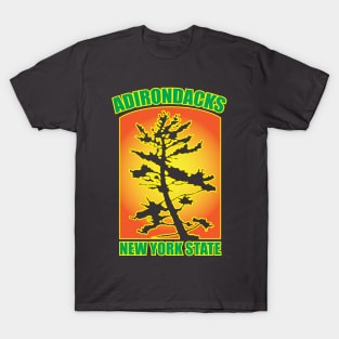 Adirondacks T-Shirt